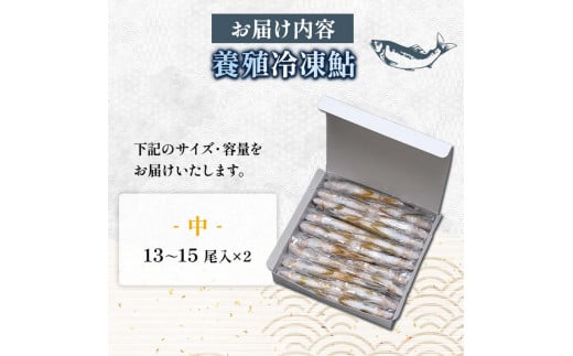 FKK19-827_養殖冷凍鮎 (中:13～15尾入×2) 2kg