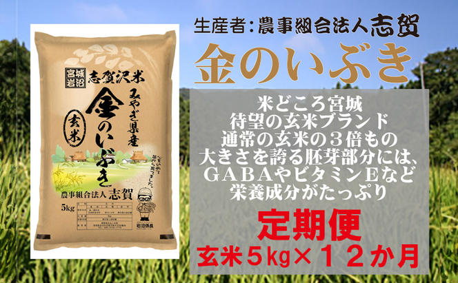 【12ヶ月定期便】宮城県岩沼市産 志賀沢米 金のいぶき 玄米5kg