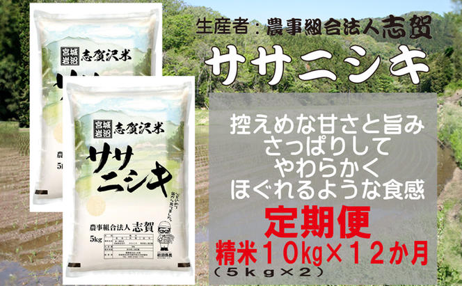 【12ヶ月定期便】宮城県岩沼市産 志賀沢米 ササニシキ 精米10kg(5kg×2）