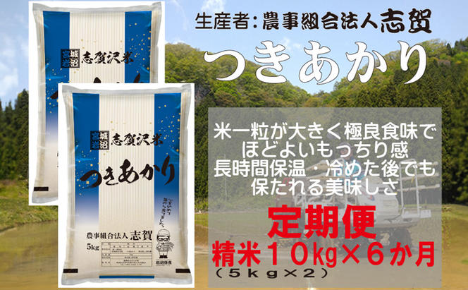 【6ヶ月定期便】宮城県岩沼市産 志賀沢米 つきあかり 精米10kg(5kg×2）