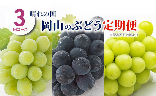 ぶどう 定期便 2024年 先行予約 晴れの国 岡山 の ぶどう定期便 3回コース 葡萄 ブドウ 岡山県産 国産 セット ギフト