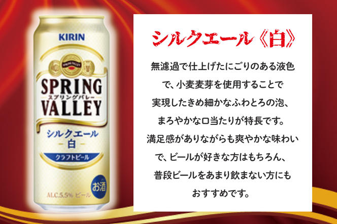 AB005-1　キリンビール取手工場産スプリングバレーシルクエール〈白〉500ml×24本
