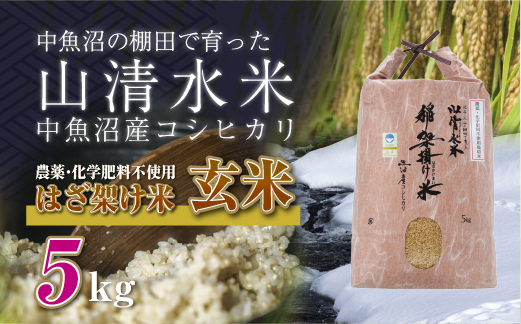 新潟県魚沼産コシヒカリ◇玄米５kg 栽培期間中農薬・化学肥料不使用「山清水米」はざ架け米（新潟県十日町市） | ふるさと納税サイト「ふるさとプレミアム」