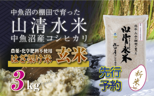 新潟県魚沼産コシヒカリ◇玄米３kg 栽培期間中農薬・化学肥料不使用「山清水米」はざ架け米