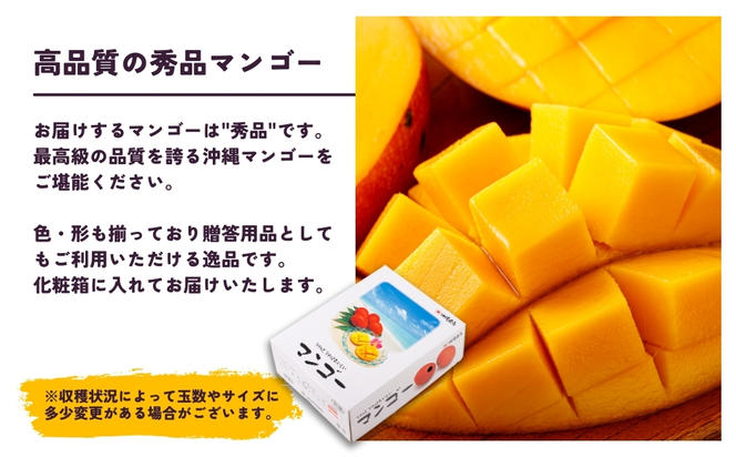 沖縄県 うるま市産 完熟 マンゴー 秀品 800g