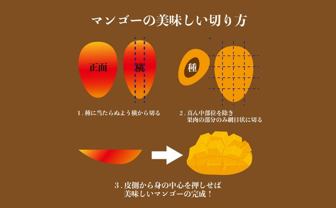 沖縄県 うるま市産 完熟 マンゴー 秀品 800g