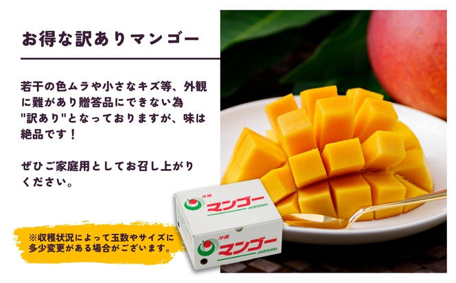 沖縄県 うるま市産 完熟 マンゴー 訳あり品 2kg
