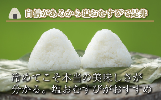 【新米先行受付】【定期便／全12回】無洗米5kg　新潟県魚沼産コシヒカリ「山清水米」