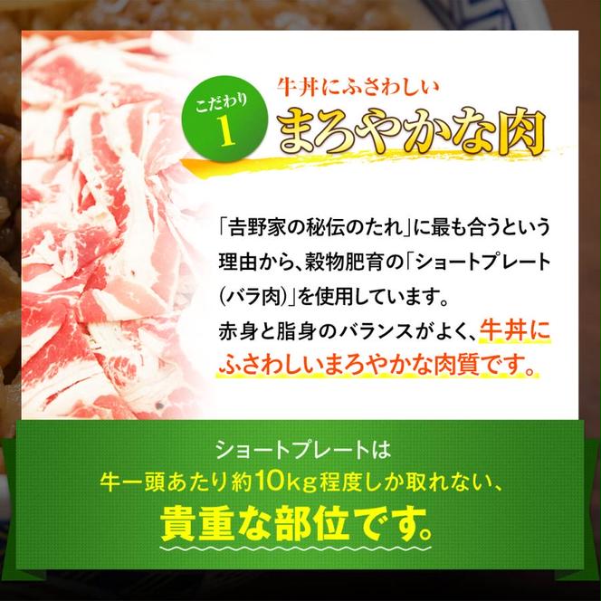 【定期便 ３ヶ月】吉野家 人気５種１０袋セット（冷凍）
