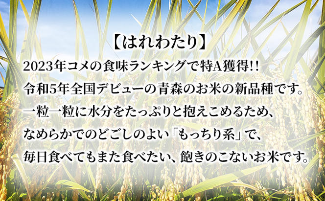 先行予約 新米 令和6年産 白米 はれわたり 5kg 1袋 米 精米 こめ お米 おこめ コメ ご飯 ごはん 令和6年 須藤農園 青森 青森県