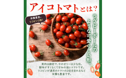 FKK19-871_【先行予約】 【3カ月定期】嘉島町産アイコトマト1kg ※2024年11月中旬より順次発送 もぎたて 産地直送 産直 有機肥料 甘い フルーティー ミニトマト プチトマト リコピン 新鮮 フレッシュ サラダ 朝食 野菜 食品