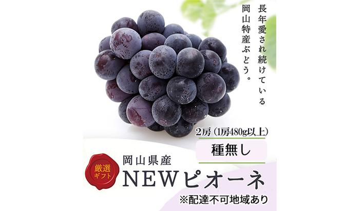 ぶどう 2024年 先行予約 ニューピオーネ2房(1房480g以上) 化粧箱入り ブドウ 葡萄 岡山県産 国産 フルーツ 果物 ギフト