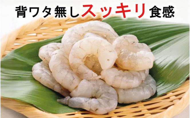 越前若狭食宝庫の高級むきえび【ホワイトバナメイエビ冷凍】800g/約90～100尾