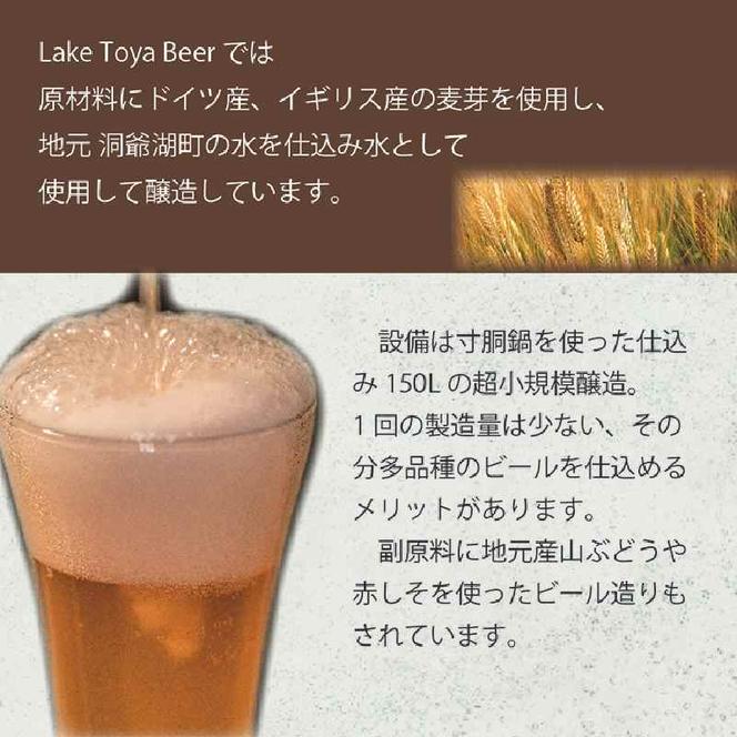 Lake Toya Beer クラフトビール 定番4種＋限定2本　計6本(紙コースター2枚付) 3カ月連続お届け