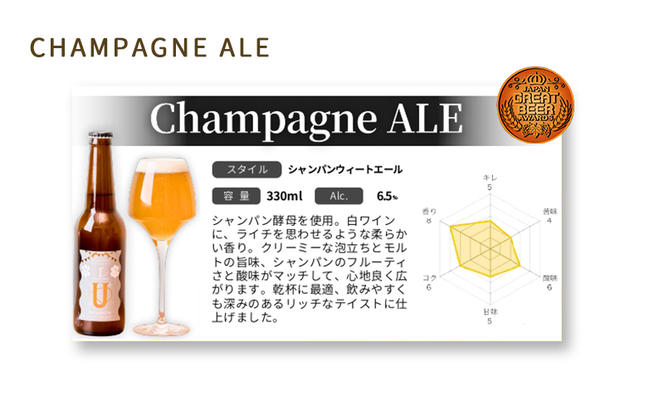 クラフトビール飲み比べ6本箱入りセット