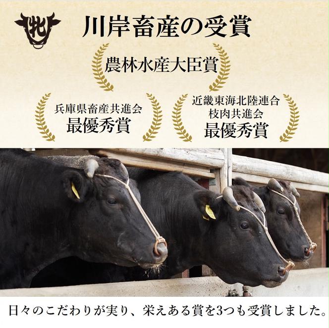 06-6【冷凍】神戸ビーフ牝（小間切れ、250g）《川岸牧場》