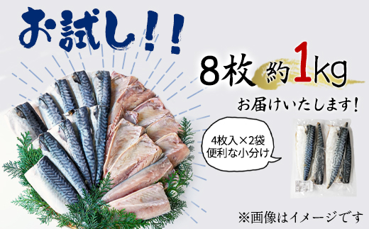 【北海道産】塩サバフィレ約1kg 8枚（4枚入×2袋） お試し 無添加 小分け 