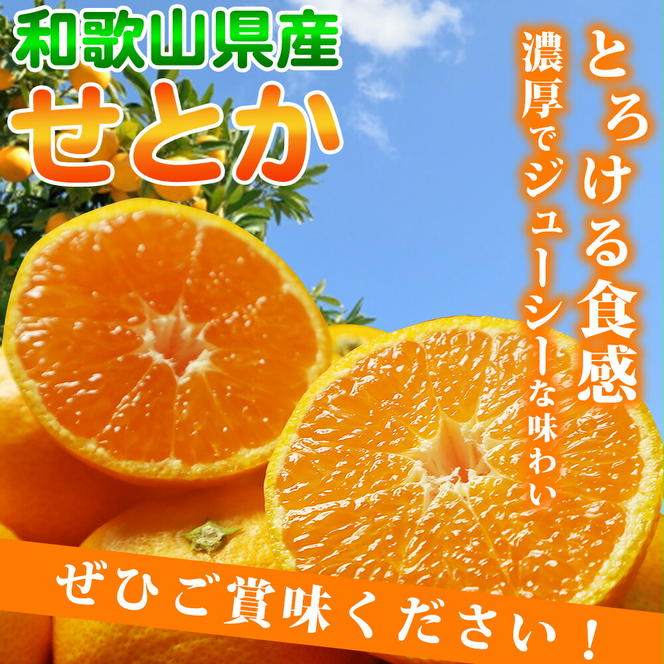 G7058_【先行予約】とろける食感！ジューシー柑橘 せとか 2.5kg