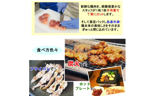 産地直送！恵那どりの鶏焼セット 計2kg（4～5人前）冷凍 F4N-0454