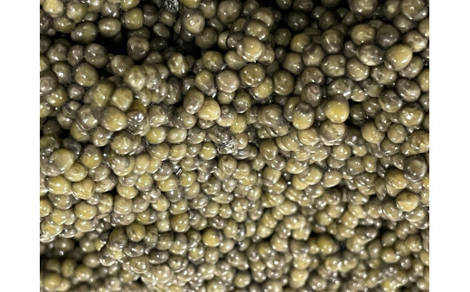 中津川キャビア S Caviar 食べ比べ5種（オシェトラ＋4種）