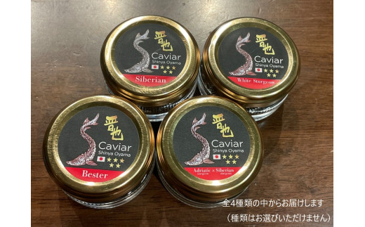 中津川キャビア S Caviar 食べ比べ3種
