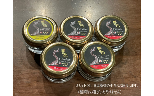 中津川キャビア S Caviar 食べ比べ3種（オシェトラ＋2種）
