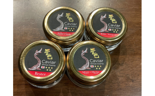 中津川キャビア S Caviar 食べ比べ4種