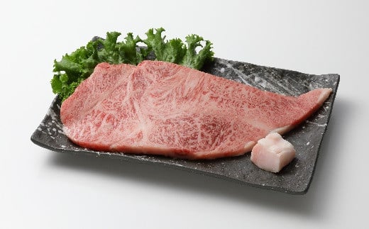 【数量限定！チルド（冷蔵）発送！】「飛騨牛」A5等級サーロインステーキ 200g 鉄板焼き 網焼き 焼肉 バーベキュー BBQ