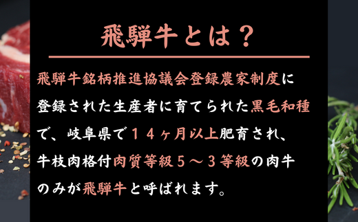 【数量限定！チルド（冷蔵）発送！】「飛騨牛」A5等級 ヒレ・サーロイン・リブロース 鉄板焼き 網焼き 焼肉 バーベキュー BBQ F4N-1251