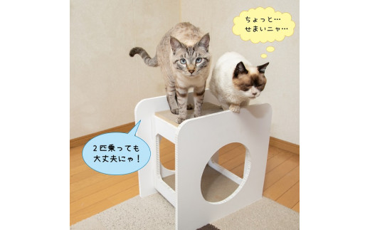 猫のつめとぎ＋House「しかく」（ぷらすはうすしかく） F4N-1289