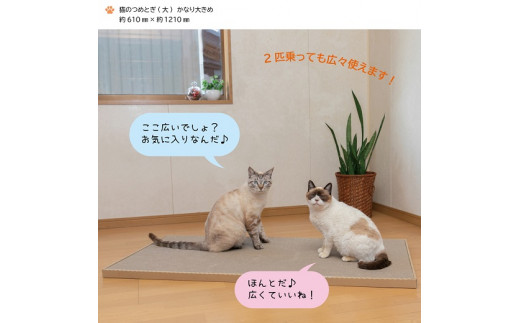 猫のつめとぎ（大）【かなり】おおきめサイズで2枚入り! F4N-1285