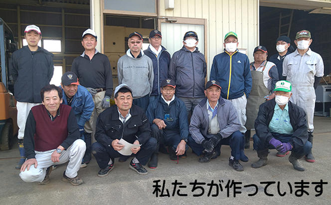 食べ比べ！【12ヶ月定期便】宮城県岩沼市産 志賀沢米 5kg サブスク　