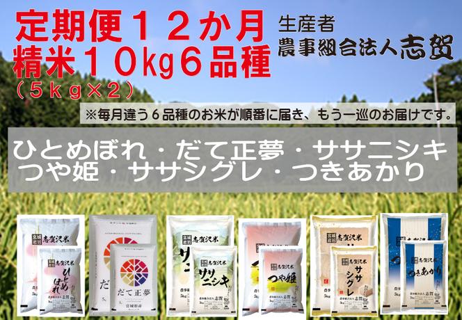 食べ比べ！【12ヶ月定期便】宮城県岩沼市産 志賀沢米 10kg サブスク　