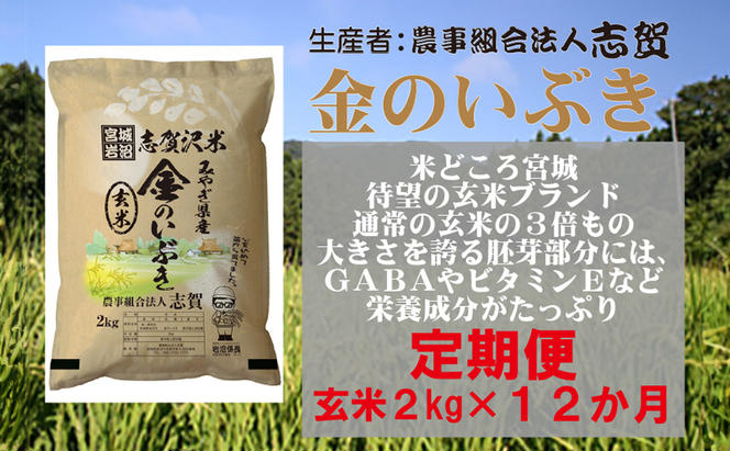 【12ヶ月定期便】宮城県岩沼市産 志賀沢米 金のいぶき 玄米2kg