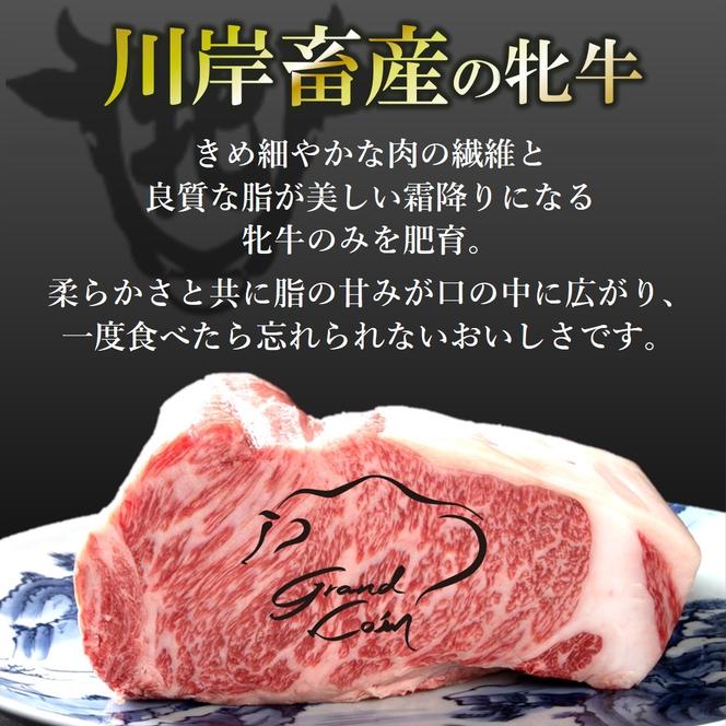 神戸牛 牝【７営業日以内に発送】バラカルビ焼肉 500g 冷凍《川岸牧場》神戸ビーフ