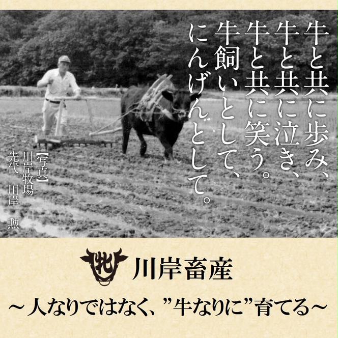 43-4 【冷凍】神戸ビーフ牝（モモ肩焼肉用、１ｋｇ）《川岸牧場》 