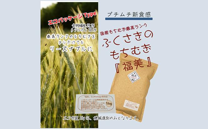 ふくさきのもちむぎ「福美」精麦1kg×2袋 2kg eco Package エコパッケージ