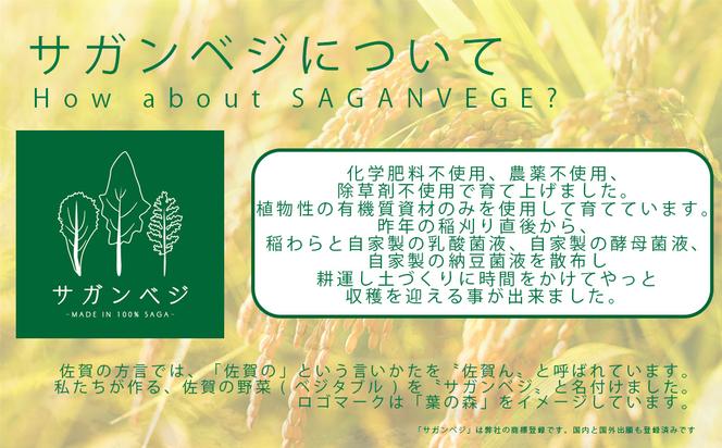 CQ006_ビーガン米10kg　玄米【植物性で育てた完全無農薬のサガンベジブランド】