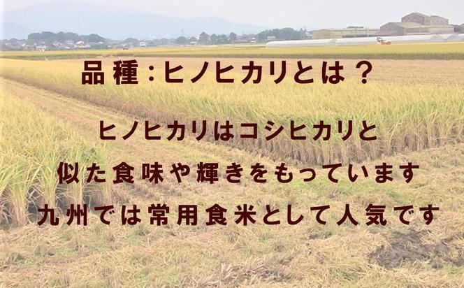 CQ007_【11月以降発送】ビーガン米20kg　玄米【植物性で育てた完全無農薬のサガンベジブランド】