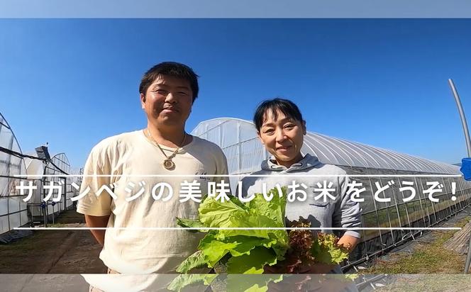 CQ009_【11月以降発送】ビーガン米10kg　白米【植物性で育てた完全無農薬のサガンベジブランド】