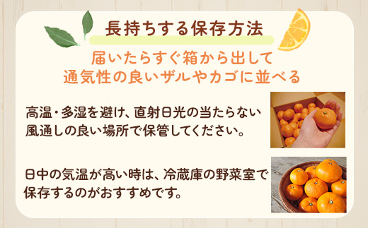 ＜2024年11月より発送＞家庭用 小玉な有田みかん2.5kg+75g（傷み補償分）【わけあり・訳あり】【光センサー選果】　※北海道、沖縄配送不可　※2024年11月中旬～12月下旬頃に順次発送予定