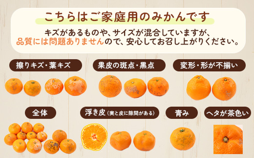 ＜2025年1月より発送＞家庭用 蔵出しみかん2.5kg+75g（傷み補償分）【有田の蔵出しみかん】【わけあり・訳あり】【光センサー選果】　　※北海道・沖縄・離島への配送不可　※2025年1月中旬～2月下旬頃に順次発送予定