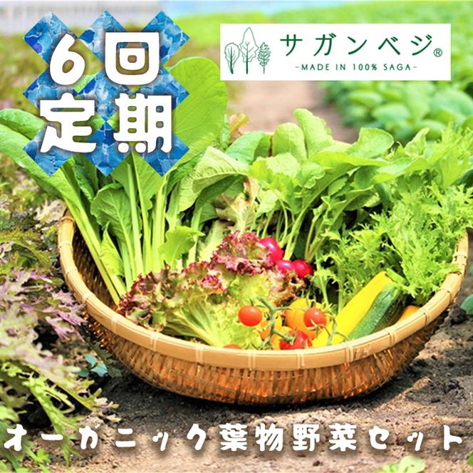 CQ020_【定期便】オーガニック葉物野菜セット【植物性で育てた完全無農薬の葉野菜ブランド有機JAS】 6回定期便