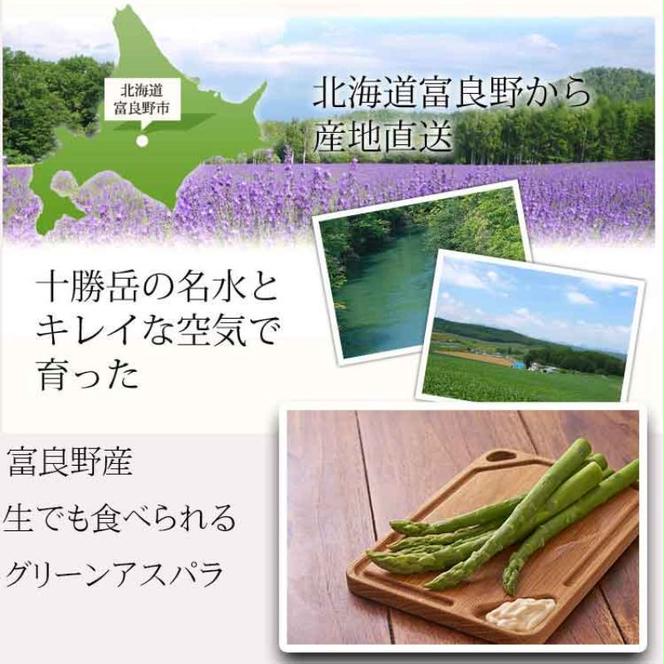 【2024年春発送】「生」で食べられる！北海道 富良野産 グリーンアスパラ 500g (L サイズ) 