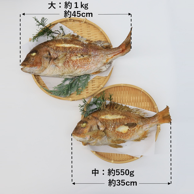 【尾頭付きの縁起物】 活塩焼き鯛（大サイズ） 1匹（約45cm・約1kg） 