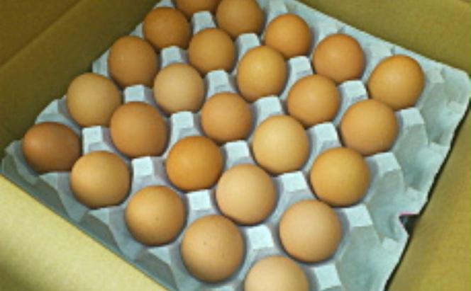 とちのたまご～有精卵～25個入り 卵 たまご 平飼い方式