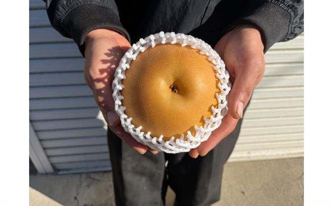 【先行予約】梨(にっこり) 4玉～7玉入り×1箱 (4.5kg以上) ※2026年10月上旬～11月下旬頃に順次発送予定