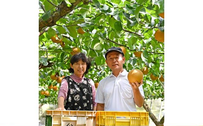 【先行予約】梨(にっこり) 4玉～7玉入り×1箱 (4.5kg以上) ※2026年10月上旬～11月下旬頃に順次発送予定