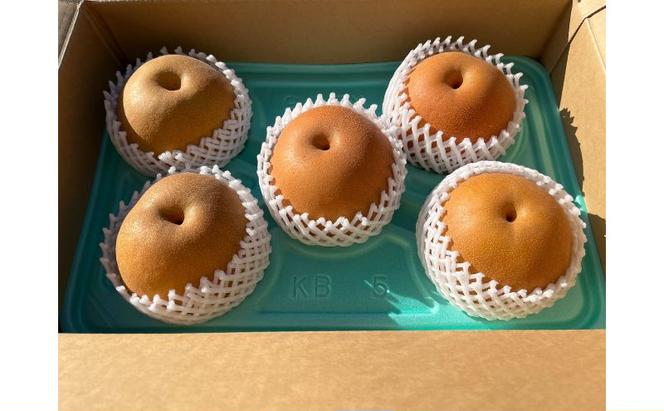 【先行予約】梨(にっこり) 4玉～7玉入り×1箱 (4.5kg以上) ※2026年10月上旬～11月下旬頃に順次発送予定