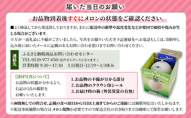 【3ヶ月定期便】クラウンメロン　規格外特大玉（約1.7kg）2玉入